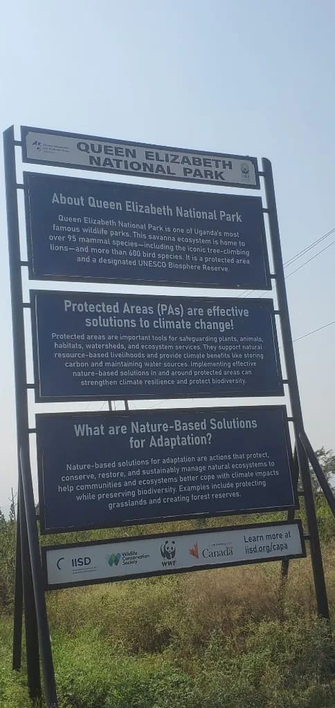 Queen Elizabeth National Park Game Drives in Kasese